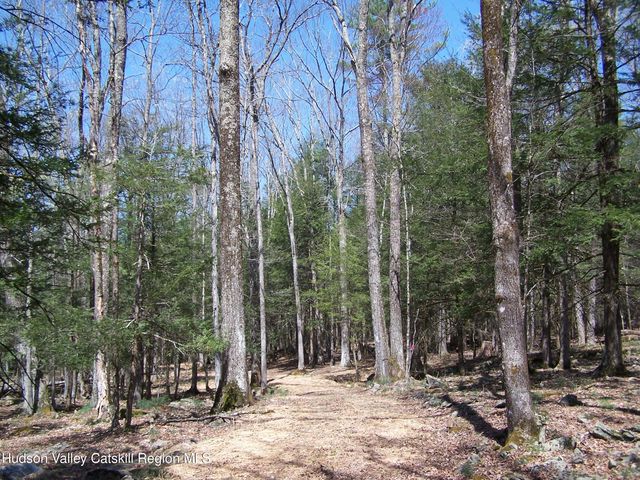 Tbd Buck Road, Stone Ridge, NY 12484