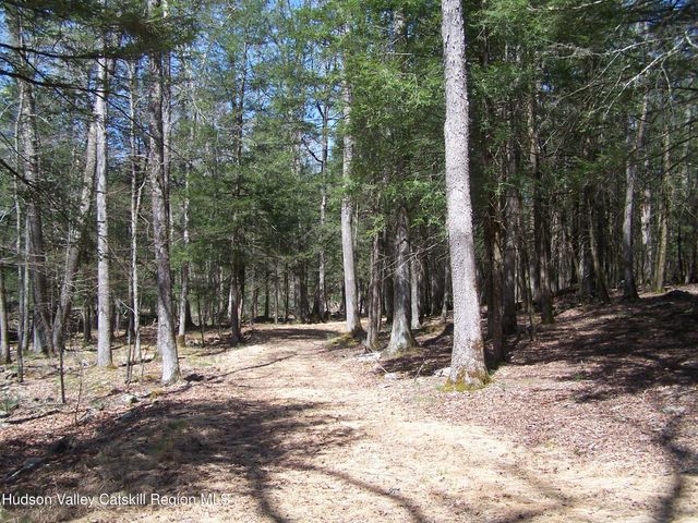 Tbd Buck Road, Stone Ridge, NY 12484