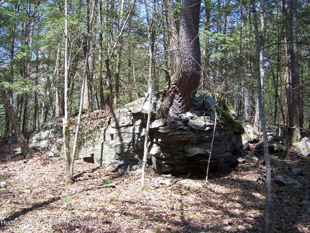 Tbd Buck Road, Stone Ridge, NY 12484