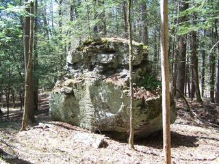 Tbd Buck Road, Stone Ridge, NY 12484