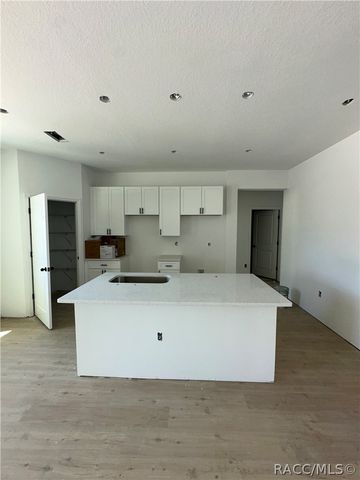 2520 W Windchime Loop, Dunnellon, FL 34434