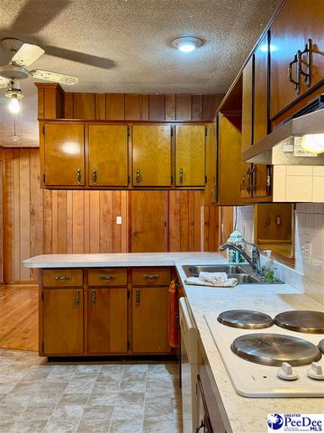 1115 N 4th Avenue, Dillon, SC 29536