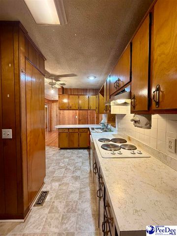 1115 N 4th Avenue, Dillon, SC 29536