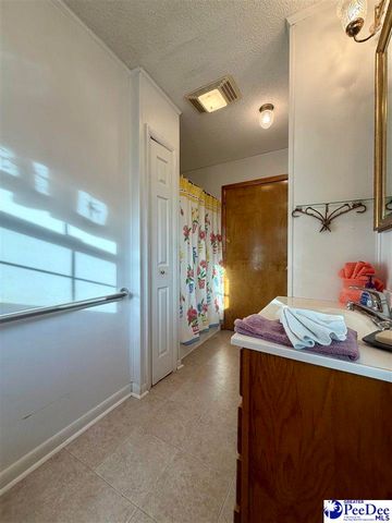 1115 N 4th Avenue, Dillon, SC 29536
