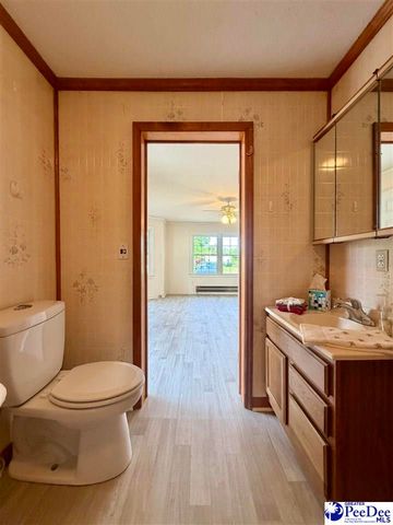 1115 N 4th Avenue, Dillon, SC 29536