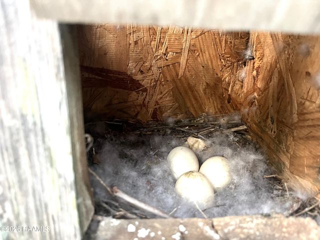 359 Sandpiper Place, Sunset, LA 70584