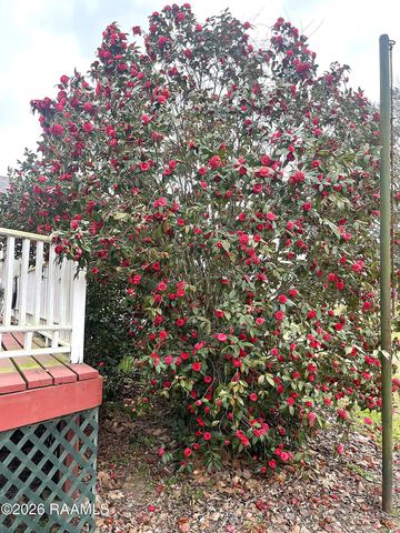 359 Sandpiper Place, Sunset, LA 70584