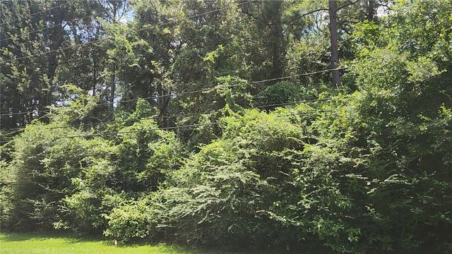 TBD Terri Lane, Magnolia, TX 77355