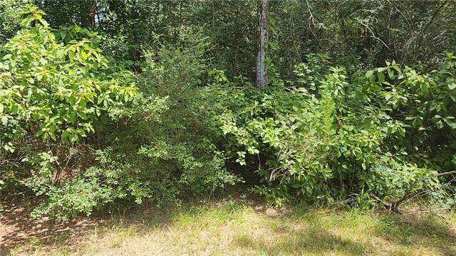 TBD Terri Lane, Magnolia, TX 77355
