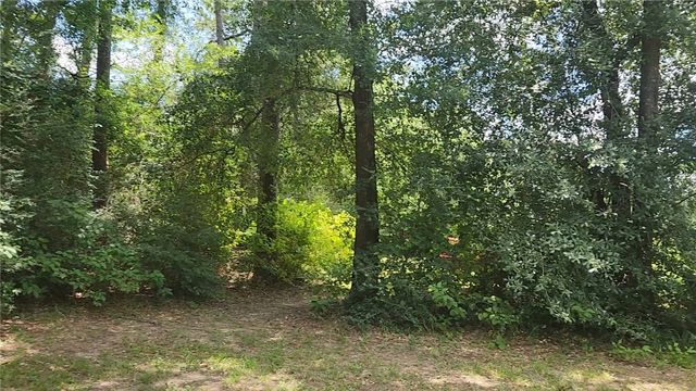 TBD Terri Lane, Magnolia, TX 77355