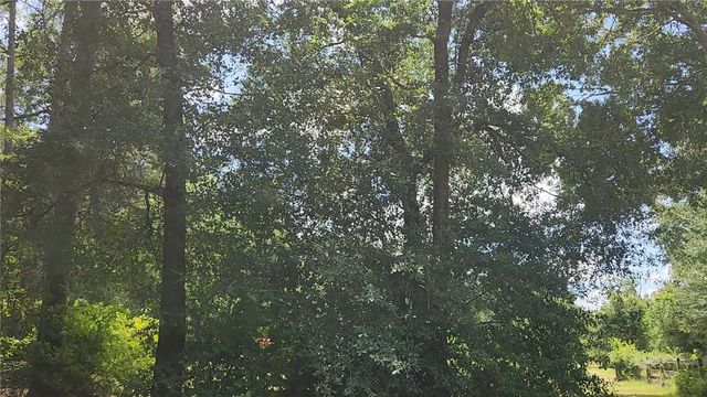TBD Terri Lane, Magnolia, TX 77355