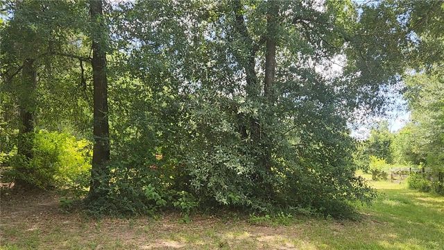 TBD Terri Lane, Magnolia, TX 77355