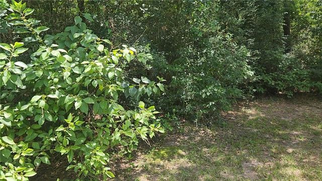 TBD Terri Lane, Magnolia, TX 77355