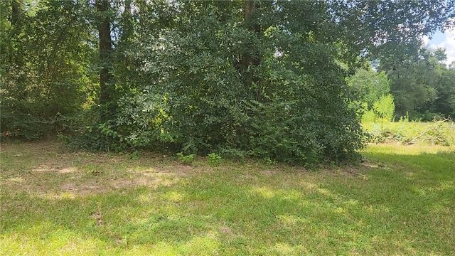 TBD Terri Lane, Magnolia, TX 77355