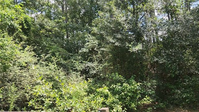 TBD Terri Lane, Magnolia, TX 77355