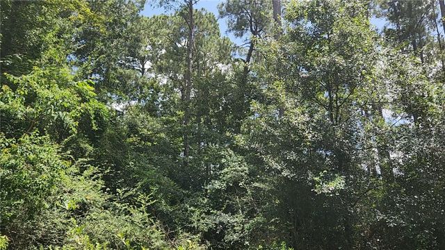 TBD Terri Lane, Magnolia, TX 77355