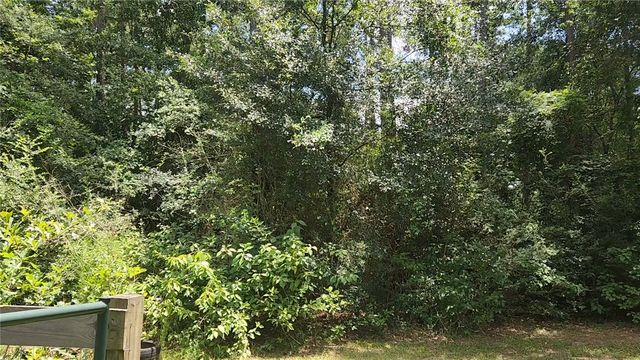TBD Terri Lane, Magnolia, TX 77355