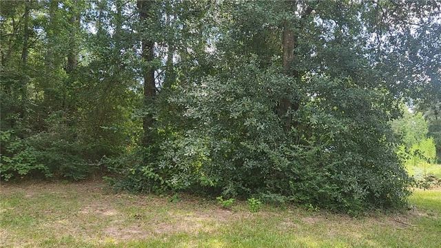 TBD Terri Lane, Magnolia, TX 77355