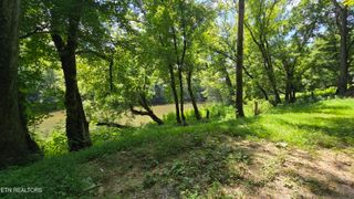 4245 Cave Springs Rd, Tazewell, TN 37879