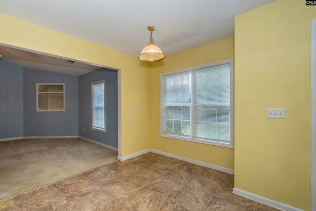 309 Cutter Court, Chapin, SC 29036