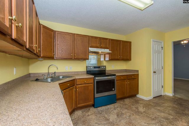 309 Cutter Court, Chapin, SC 29036