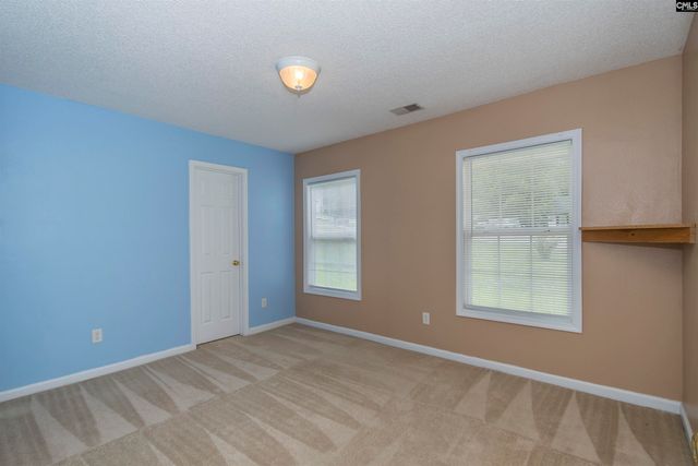 309 Cutter Court, Chapin, SC 29036