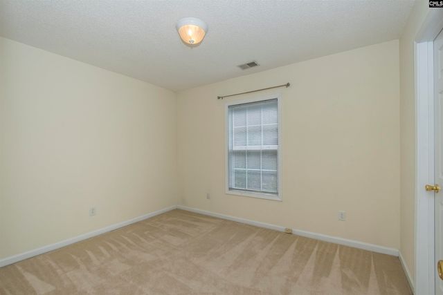 309 Cutter Court, Chapin, SC 29036