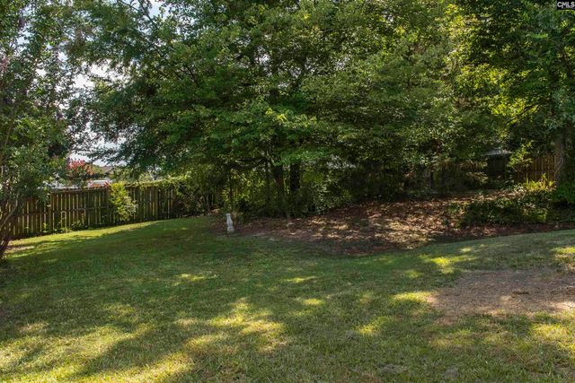 309 Cutter Court, Chapin, SC 29036