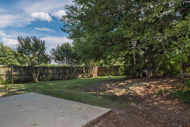309 Cutter Court, Chapin, SC 29036