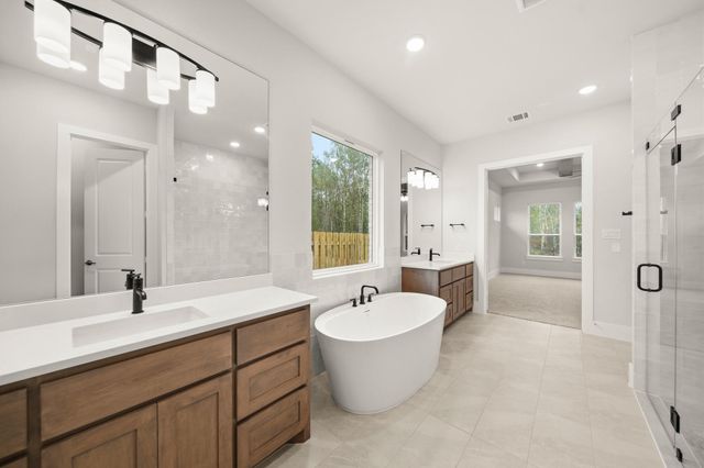 41631 Wendele Way, Todd Mission, TX 77316