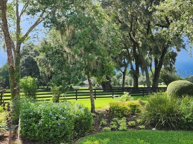 9041 SW 14TH AVENUE, Ocala, FL 34476