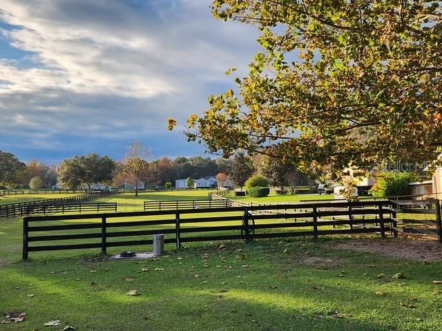 9041 SW 14TH AVENUE, Ocala, FL 34476