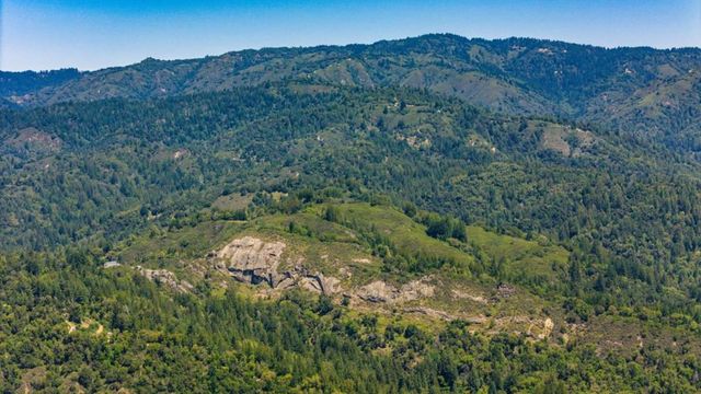 15971 Forest Hill Drive, Boulder Creek, CA 95006