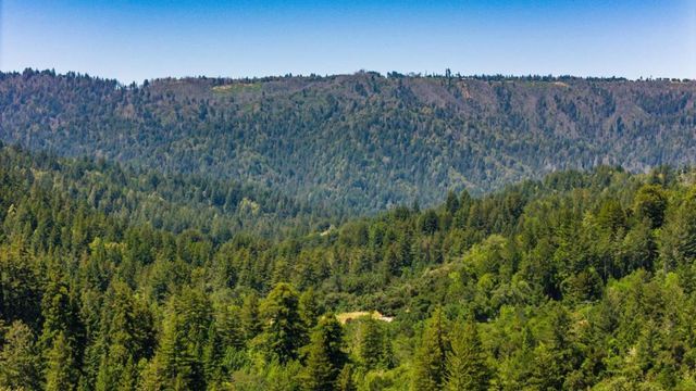 15971 Forest Hill Drive, Boulder Creek, CA 95006