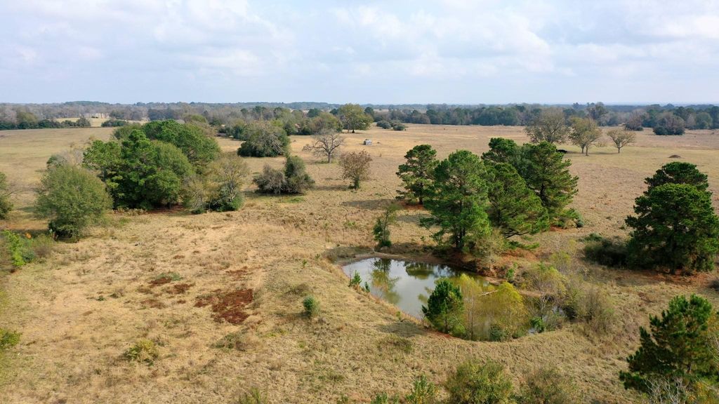 TBD Pr 1260, Centerville, TX 75833