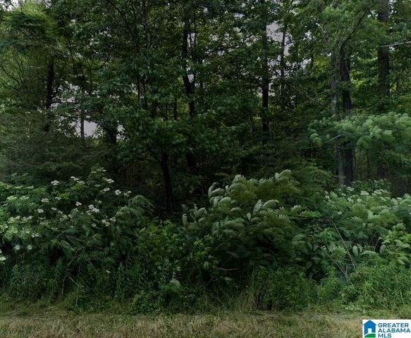 0 RAILROAD DRIVE, Hayden, AL 35180