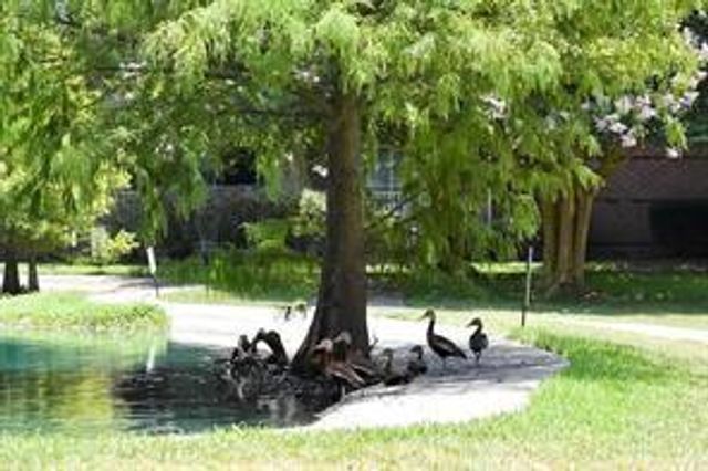 2815 Kings Crossing Drive 319, Kingwood, TX 77345