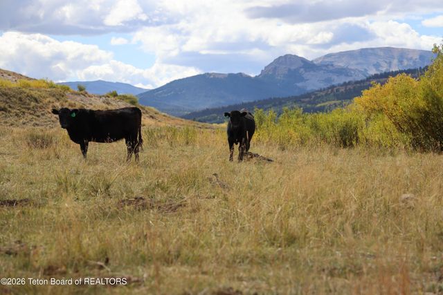618 N COTTONWOOD Road, Daniel, WY 83115