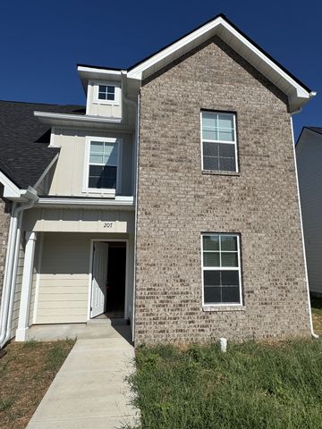 207 Mountaindale Dr, Smyrna, TN 37167