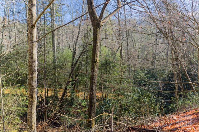 649 Old NC 280 Highway, Pisgah Forest, NC 28768