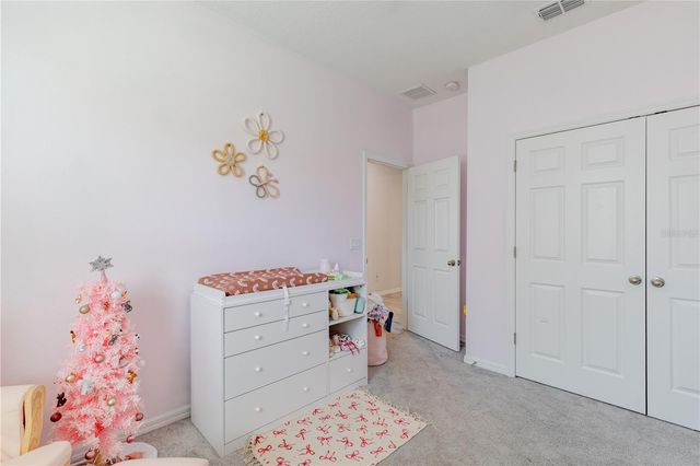 13343 LAKE YALE VIEW LOOP, Grand Island, FL 32735