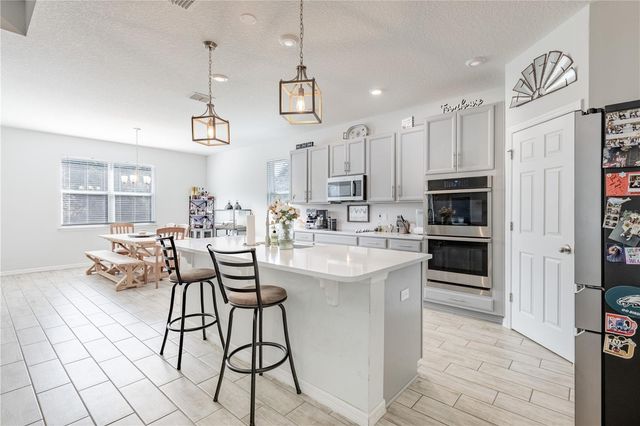 13343 LAKE YALE VIEW LOOP, Grand Island, FL 32735