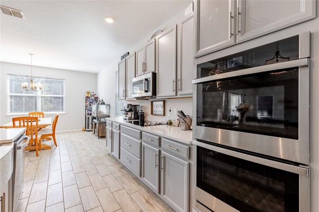 13343 LAKE YALE VIEW LOOP, Grand Island, FL 32735