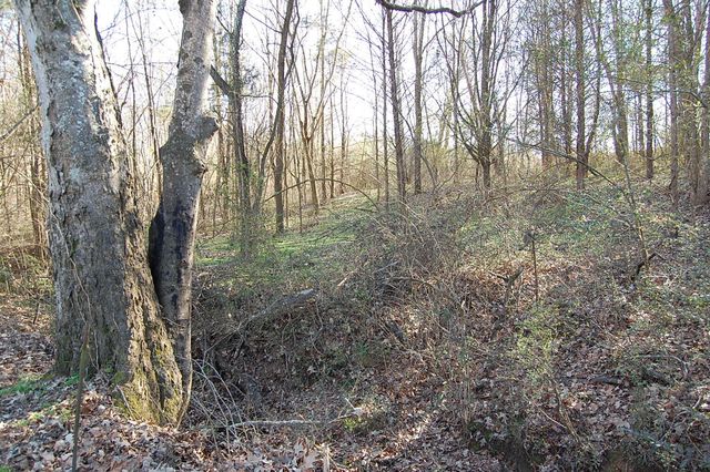 10595 Ra Griffith Highway, Whitwell, TN 37397