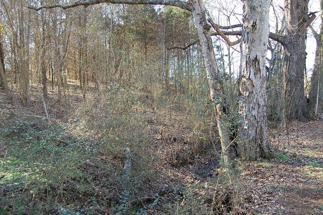 10595 Ra Griffith Highway, Whitwell, TN 37397