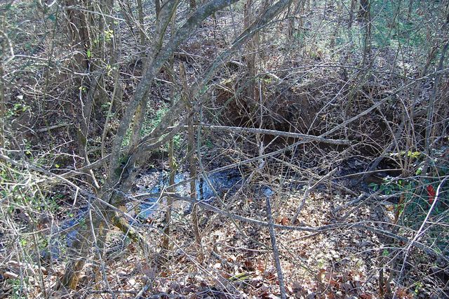 10595 Ra Griffith Highway, Whitwell, TN 37397