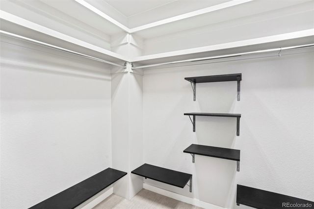 2788 Low Meadow Boulevard, Castle Rock, CO 80109