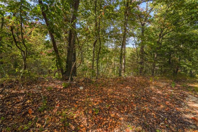 Lots 13,14, & 15 Murphy Drive, Bella Vista, AR 72715