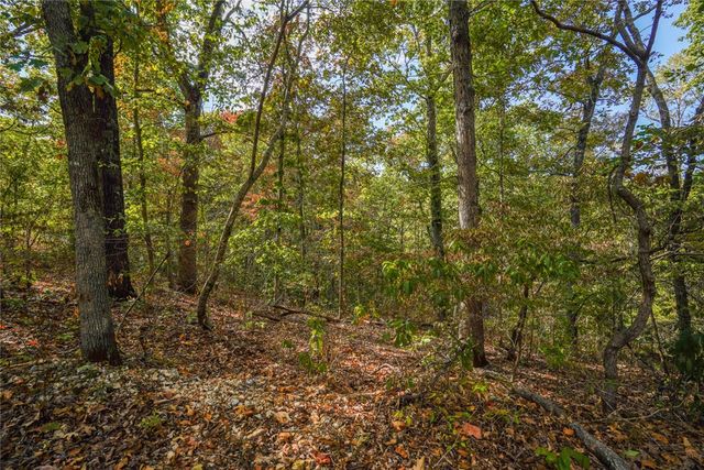 Lots 13,14, & 15 Murphy Drive, Bella Vista, AR 72715