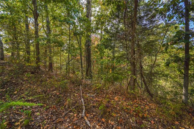 Lots 13,14, & 15 Murphy Drive, Bella Vista, AR 72715